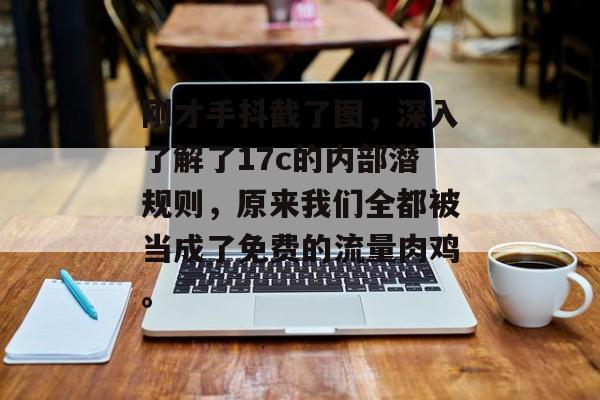 刚才手抖截了图，深入了解了17c的内部潜规则，原来我们全都被当成了免费的流量肉鸡。